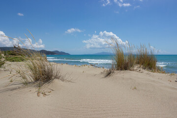 Dunes of Collelungo beach, Grosseto, Italy.