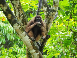 Fototapeta premium OLYMPUS DIGITAL CAMERA