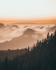 sunset in the mountains at el teide with a forest in the foreground and clouds going over the mountains