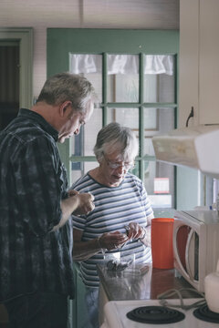 Senior Woman and Adult Son Working in Country Kitchen