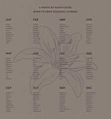 Vegetable, fruit and flower Calendar wall poster for the year with buying guide Vector hand drawn illustration. Monthly healthy guide. For your home, corporate, yoga, cooks, workplace poster.