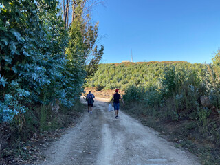 Obraz premium walking in the woods