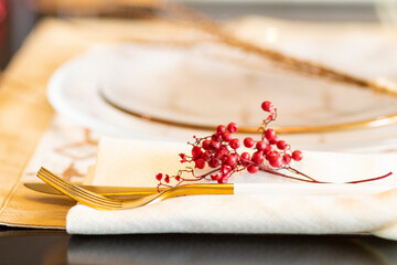 Elegant table set for Christmas dinner