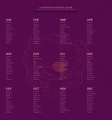 Vegetable, fruit and flower Calendar wall poster for the year with buying guide Vector hand drawn illustration. Monthly healthy guide. For your home, corporate, yoga, cooks, workplace poster.