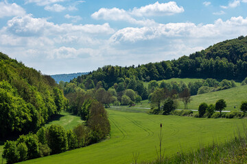 Obraz premium Der Thüringer Wald bei Meiningen