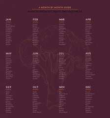 Vegetable, fruit and flower Calendar wall poster for the year with buying guide Vector hand drawn illustration. Monthly healthy guide. For your home, corporate, yoga, cooks, workplace poster.