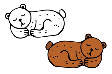 vector hand-drawn sleeping bear. isolated on a white background. autumn element. graphic icon. coloring book with a color example.