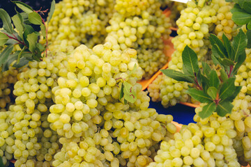 Fresh Fruit Brunch Green Grapes on Shelf in Fresh Fruit market. France Travel Background Concept