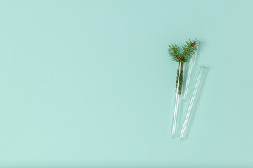 Minimalist Christmas composition of glass test tubes and a spruce sprig on a mint background with copy space. Top view, flat lay. Medical New Year's concept.