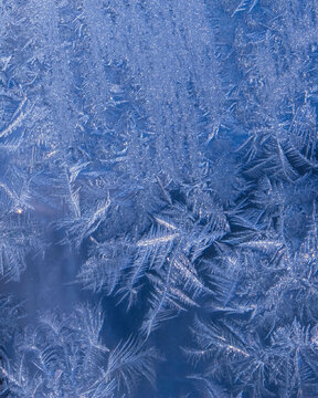 Frost patterns 2 macrophotograph microphotograph of frost and ice patterns on glass