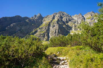 Obraz premium Mengusovska Valley. High Tatra Mountains. Slovakia.