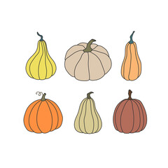Set with pumpkins in cartoon style. Autumn collection of vegetables. Flat icons of pumpkins. Vector illustration on white background. Cute decorative elements for Thanksgiving, Halloween and harvest
