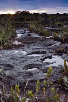 Top of Table-top mountains Tepuy Highlands, Venezuela, South America. Events