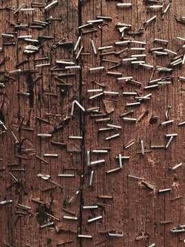 Close up of metal staples on telephone pole