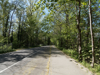 Rheinlandschaft. Breisach am Rhein. Route entlang der Möhlin. Promenade zwischen Wald un Rhein