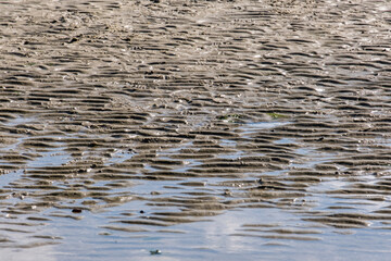 Nordsee, Ebbe, Strukturen am Strand