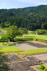 新緑の一乗谷の朝倉史跡