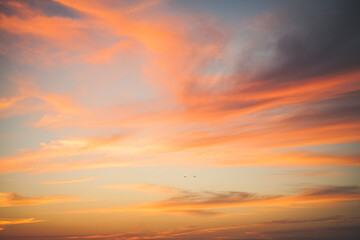 Orange sky Helicopters