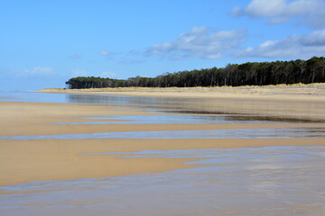 France, Aquitaine, sur la côte atlantique une plage à marée basse offrant une magnifique étendue de sable en bordure de forêt.