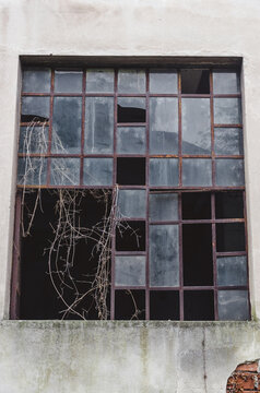Old broken window