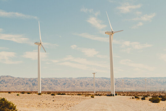 Wind Turbines in the Desert