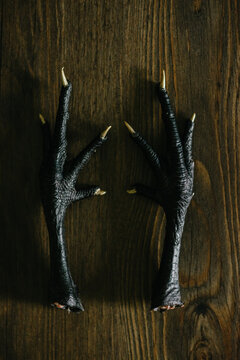Gold nail polish painted onto black chicken feet