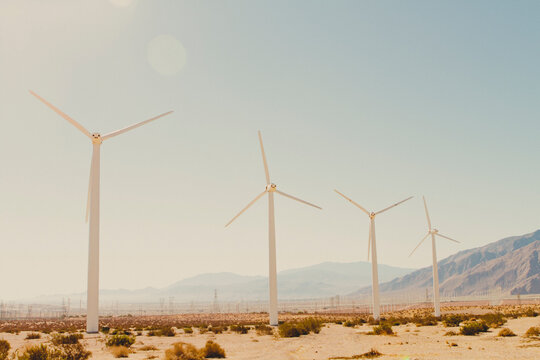 Wind Turbines in the Desert