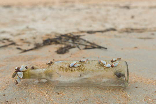 A Clear Glass Bottle In The Sand At The Beach With Barnacles