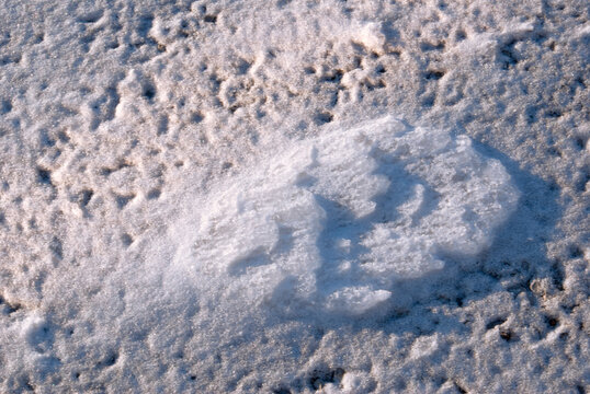 closeup of windblown snow patterns outdoors aeolian