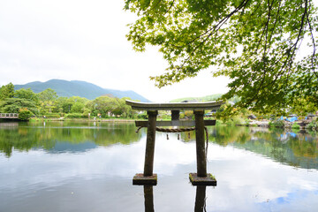 大分県・湯布院の金鱗湖の鳥居
