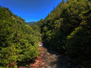 Fototapeta na wymiar Beautiful scene in the forest with waterfall and river Georgia Skuri 