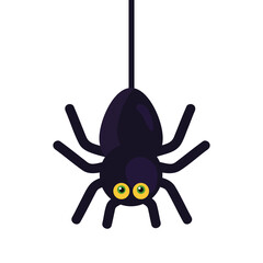 halloween spider cartoon design, happy holiday and scary theme Vector illustration