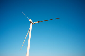 Fototapeta premium Sustainable energy concept