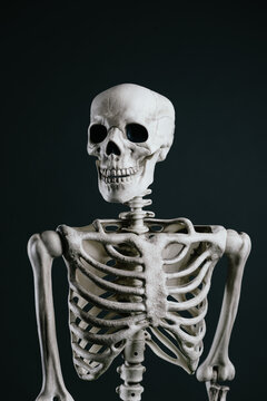 Halloween Skeleton