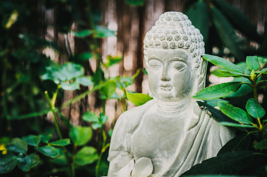 Buddha Statue
