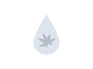 Medicine cannabis oil drop and leaf 