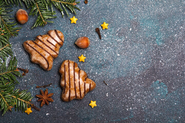 Beautiful Christmas background with decorations. Christmas cookies witch chocolate, gingerbread cookies and fir twigs on dark background. Copy space for your text