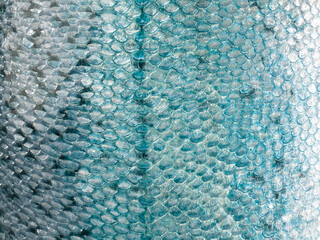 Fish scale texture close-up. Copy space. © Людмила Селянинова
