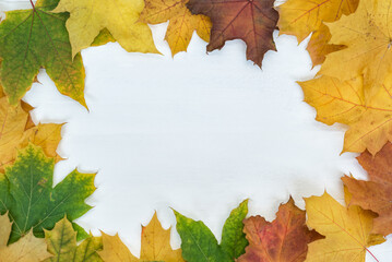 Naklejka na ściany i meble White background in frame of yellow autumn leaves. Template. Backdrop. Mock up