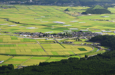 Obraz premium 熊本県・阿蘇国立公園の田園パッチワーク 