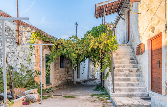 Fototapeta Fragments of houses and a vine hiding the streets in the shadows in Rogoznica town, Croatia