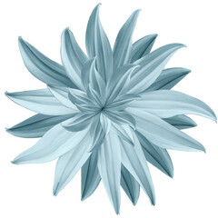 light blue flower lotus on a white isolated background with clipping path.  Closeup.  no shadows. For design.  Nature.