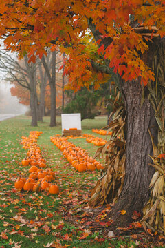 Road side pumpkin patch with blank sign