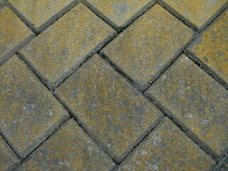 苔の生えた石壁