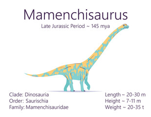 Mamenchisaurus. Sauropodomorpha dinosaur. Colorful vector illustration of prehistoric creature mamenchisaurus, description of characteristics, period of life isolated on white background. Fossil dino.
