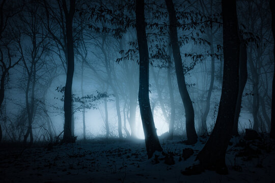 dark misty forest panorama fantasy halloween landscape - Powered by Adobe