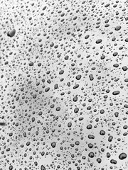 water drops on black car