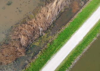 Aerial view of dirt road through marsh lands