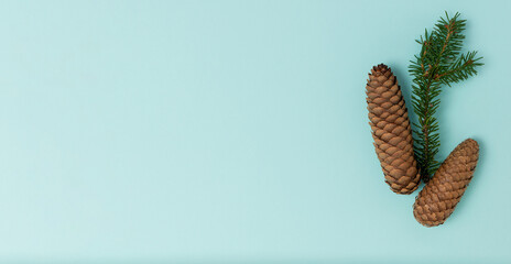 Christmas composition of cones and spruce twig on a mint background with a place for text