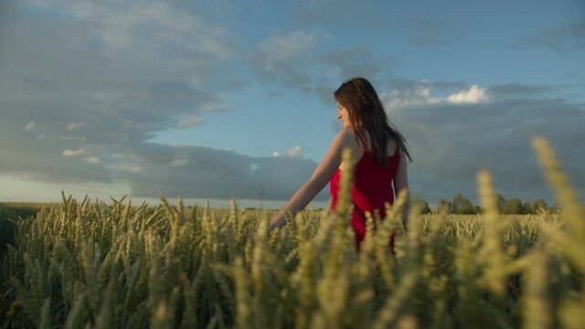 A woman in a red dress walks across a field of ears
